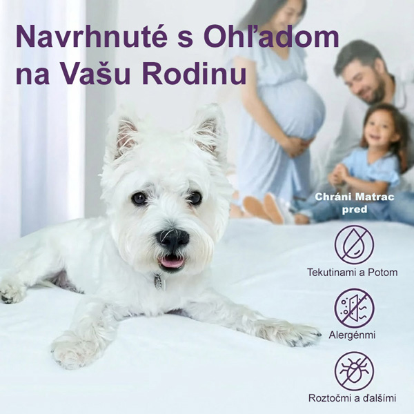 CLOUDREAM-3831127613059-SK-5__301225